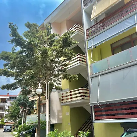 Rolling - Next To Premium & Grand Blue Fafa