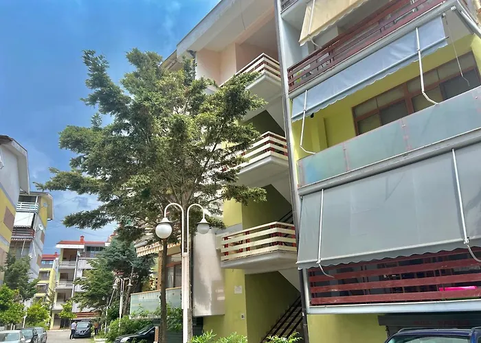 Rolling - Next To Premium & Grand Blue Fafa